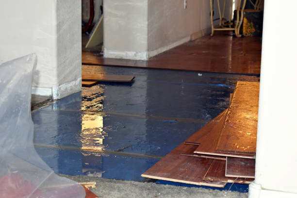 Professional Emergency Water Damage Restoration technician working in Dansville, NY